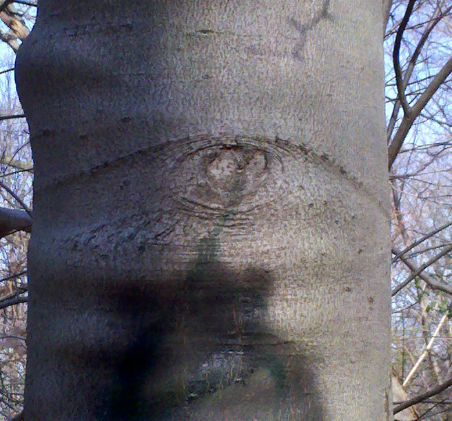Illuminati-Tree